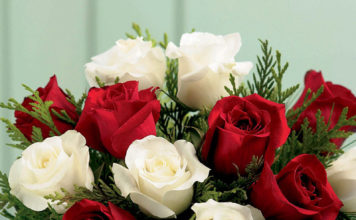 СВЕТСКА КЛЮКА: 18-19 ФЕВРУАРИ /ВИДЕОПОЗДРАВ/