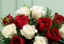 СВЕТСКА КЛЮКА: 29 ОКТОМВРИ – 4 НОЕМВРИ /ВИДЕОПОЗДРАВ/