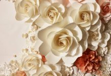 СВЕТСКА КЛЮКА