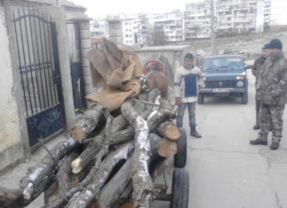 В ДЛС „ТЕРВЕЛ” ЗАДЪРЖАХА КАРУЦА И 7,5 КУБ. М ДЪРВА ЗА ОГРЕВ