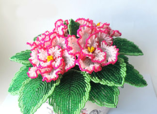 СВЕТСКА КЛЮКА