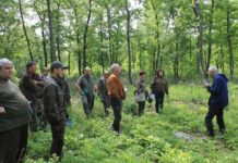 ГОРСКОТО СТОПАНСТВО В ГЕНЕРАЛ ТОШЕВО – ОТЛИЧНА БАЗА ЗА ПРАКТИКА НА СТУДЕНТИ-ЕКОЛОЗИ