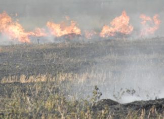РИОСВ – ВАРНА ЩЕ СЕЗИРА ПРОКУРАТУРАТА ЗА ПОЖАРА НА ДУРАНКУЛАШКОТО ЕЗЕРО