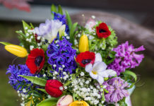 СВЕТСКА КЛЮКА – 26 ФЕВРУАРИ / ВИДЕОПОЗДРАВ