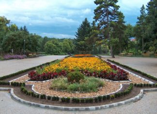 ОБЩИНА ДОБРИЧ С ПОВИШЕНА ГРИЖА ЗА ОЗЕЛЕНЯВАНЕТО НА ГРАДА