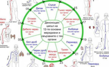 Китайският часовник, който показва от какво ще се разболееш