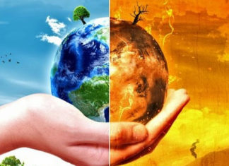 НАУКАТА КАБАЛА: ЗЕМЯТА КАТО ЖИВ ОРГАНИЗЪМ