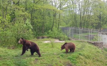 Центърът за защита на природата и животните в Добрич отваря врати днес и очаква посетители