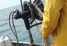 Извършена проверка в акваторията на Черно море в района на къмпинг Шабла