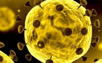 36 НОВИ СЛУЧАЯ НА ЗАРАЗЕНИ С КОРОНАВИРУС У НАС