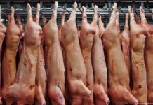 ДВОЙНИЯТ СТАНДАРТ НА ЕВРОПЕЙСКИТЕ ИНСТИТУЦИИ ЗАД ПАРАВАНА НА СПРАЕДЛИВОСТТА – ДИСКРИМИНАЦИЯ НА РАБОТНИЦИТЕ ОТ ИЗТОЧНА ЕВРОПА