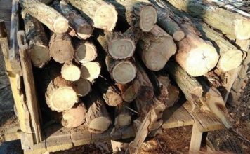 23 куб.м. незаконна дървесина е задържана в ДЛС Тервел