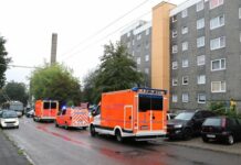 Касапница в Германия: 27-г. майка уби 5 от децата си, а шестото оцеля, защото…