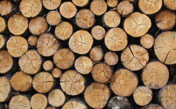 БЛИЗО 4000 СЕМЕЙСТВА ОТ ОБЛАСТТА ВЕЧЕ СА ОСИГУРИЛИ ДЪРВА ЗА ОГРЕВ