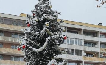 Коледната елха на Добрич ще грейне на 7 декември