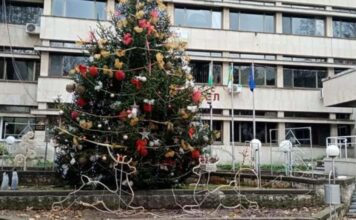 КОЛЕДНАТА УКРАСА В ТЕРВЕЛ – ВОДЕЩО Е СЪРЦЕТО