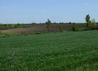 ЕСЕННИЦИТЕ В ОБЛАСТТА СА В ДОБРО СЪСТОЯНИЕ