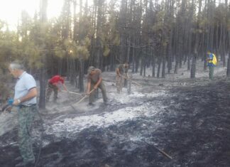 23 пожара са регистрирани на територията на СИДП