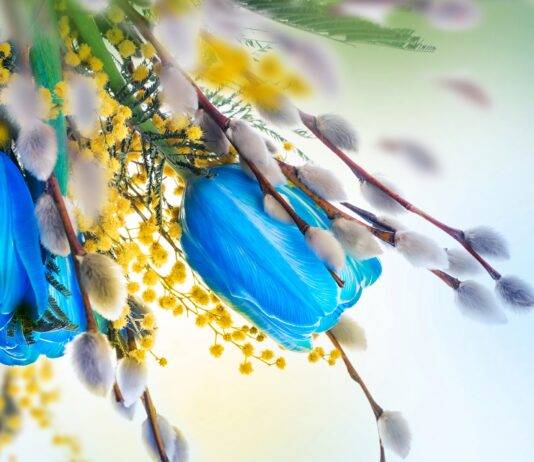 ЧЕСТИТ РОЖДЕН ДЕН НА ВСИЧКИ РОДЕНИ НА 27 ФЕВРУАРИ /ВИДЕОПОЗДРАВ/