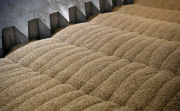 Ердоган изрази надежда за разговори с Путин по сделката за зърно