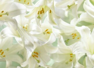 ЧЕСТИТ РОЖДЕН ДЕН НА ВСИЧКИ РОДЕНИ НА 31 АВГУСТ! /ВИДЕО/