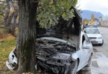 24-ГОДИШНА СЕ БЛЪСНА В ДЪРВО С АУДИ