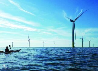 Перки в морето гонят рибата