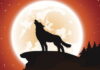 Иде Вълча Луна – кои зодии да внимават
