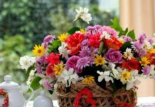 СВЕТСКА КЛЮКА: 18-22 ЯНУАРИ /ВИДЕОПОЗДРАВ/