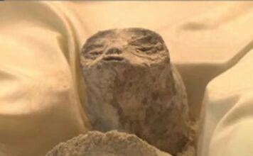 Бивш шеф в Пентагона: Вадили сме извънземни импланти от хора