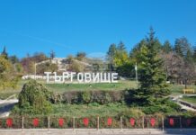 На площ от два декара в парк „Юкя“ на Търговище ще бъдат залесени фиданки червен дъб