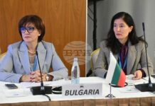 Цвета Караянчева е избрана за заместник-председател на Комитета по правни въпроси и международно сътрудничество на ПАЧИС
