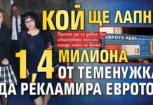 Кой ще лапне 1,4 милиона от Теменужка да рекламира еврото?