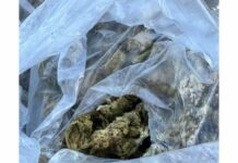 Арестуваха мъж в Ямбол, откриха у него около килограм канабис