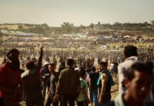 ООН достави над 24 000 тона хуманитарна помощ в ивицата Газа след примирието