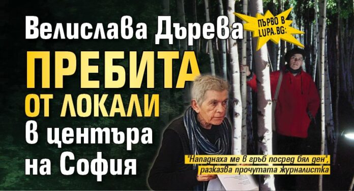 03fd5337b0a8fb769aa777e77342f33c