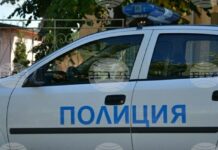 Наркотични вещества, културно-исторически ценности и боеприпаси иззеха полицаи в Свищов при специализирана акция