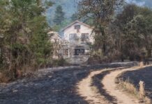 Осем отбора са участвали в провелия се благотворителен футболен турнир за „Купата на кмета“ в Трън