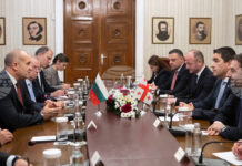 България и Грузия имат потенциал да задълбочат свързаността си, каза президентът Румен Радев на среща с председателя на парламента на Грузия