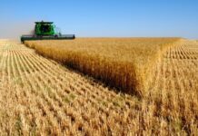 Средната цена за аренда на нивите пада с над 3%. Декарът се продава с 90 лева повече