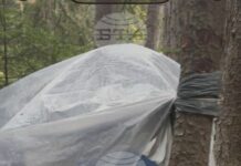 Мъж, обявен за починал, бе открит жив в Национален парк „Пирин“, съобщиха от парковата дирекция