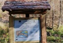 В Държавното горско стопанство в Смядово започва реализацията на проект “Бъдеще за гората“