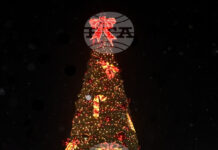 Светлините на коледната елха в Монтана бяха запалени, преди това имаше концерт и 3D мапинг