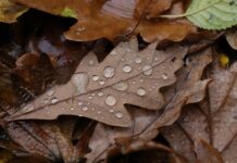 Облачно време с валежи ни очаква на 18 ноември