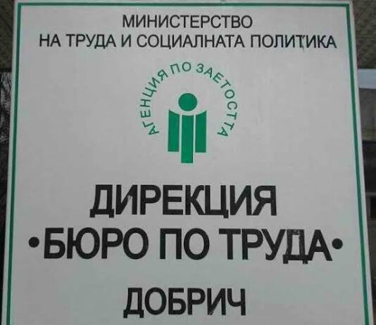 257 безработни в област Добрич са постъпили на работа през октомври 2025 г.