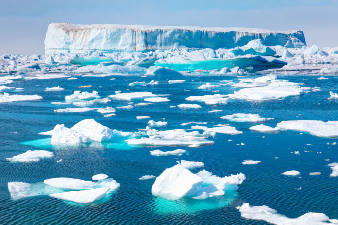 e013676cb9066ceb9e1cd6be2d4c66a5