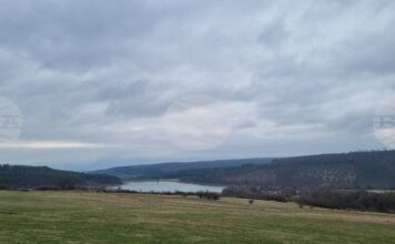 В естествена среда са нужни три-четири години, за да достигне шаранът 30-40 сантиметра, твърди любител рибар от Търговище