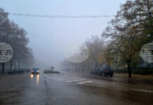 Момиче на 18 години загина при катастрофа край варненското село Казашко