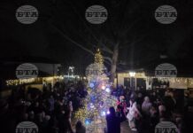 Играчки, направени от занаятчии, красят елхата в Етнографския комплекс в Добрич