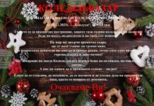 За първи път коледен базар ще бъде открит в Мъглиж